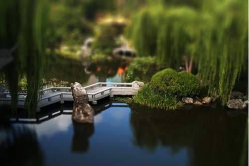 tilt_shift_10.jpg tilt_shift_10.jpg