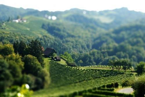 tilt_shift_25.jpg tilt_shift_25.jpg