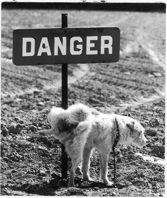 maltete_25.jpg maltete_25.jpg