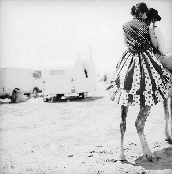 maltete_10.jpg maltete_10.jpg