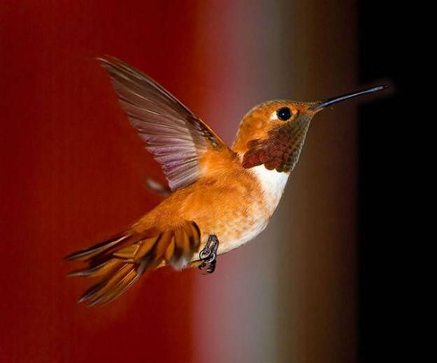 hi_speed_13.jpg hi_speed_13.jpg