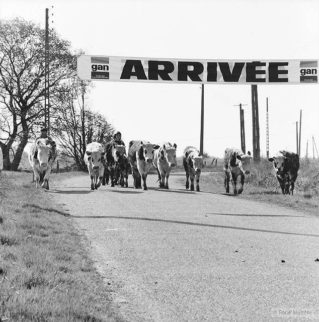 maltete_16.jpg maltete_16.jpg