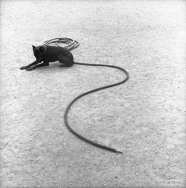 maltete_22.jpg maltete_22.jpg