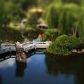 tilt_shift_10.jpg
